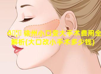 🦆 徐州小口变大手术费用全解析(大口改小手术多少钱)